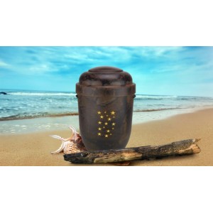 Biodegradable Cremation Ashes Funeral Urn / Casket - NATURAL WOOD EFFECT with STAR LEGACY